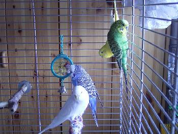 Das sind meine 4 einfach zum Lieb haben :)