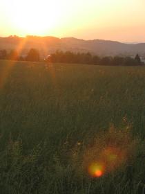 noch ma die liebe sonne