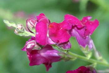 Hm..... find ich sch�n...hat aber keine besondere bedeutung ...