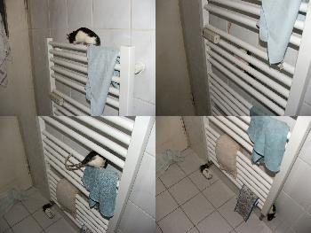 Broscha - Anleitung: Klettern in 4 Schritten