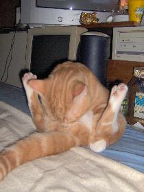 Der Digge .oO(...ok, putzen muss sein)