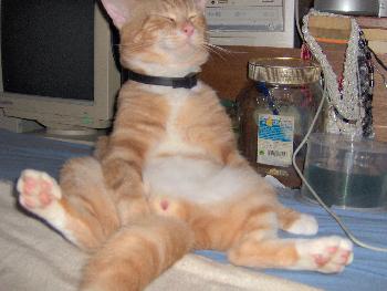 Der Digge.oO(...geschafft) :)