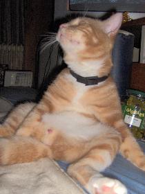 Der Digge .oO(Was mach ich denn jetzt mal...?) :)