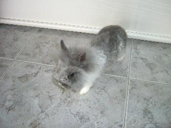 Schnuffel als Baby..