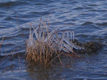 soooo kalt war es da :)