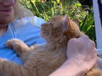 Peters Hobbie - schmusen