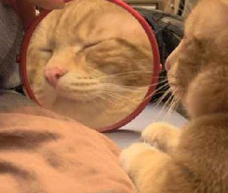 Der Digge vor dem Spiegel