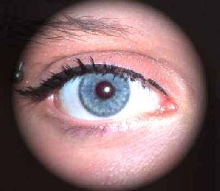 l\'oeil