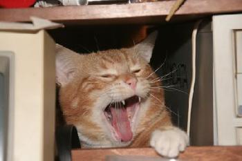 Da ist jemand m�de, der Digge!