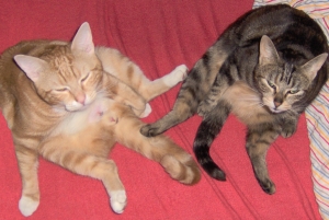 Beim Synchronputzen gest�rt