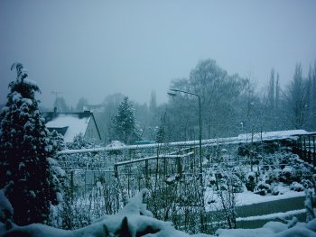 Schnee im Februar