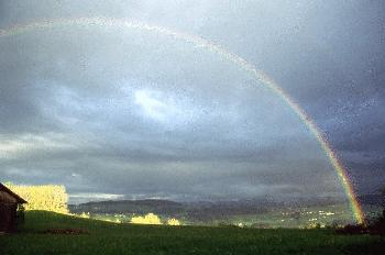 Regenbogen im Allgu (2)