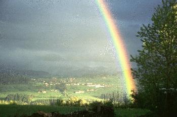 Regenbogen im Allgu (3)