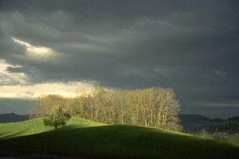 Gewitterlandschaft (1)