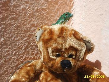 Bist du meine mama ???