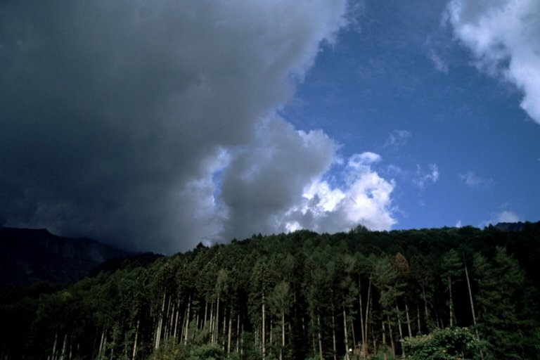 Bewaldeter Hang und eine Gewitterwolke vertreibt den schnen blauen Himmel