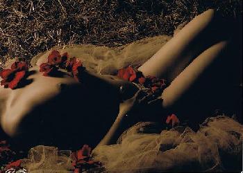 Feuerteufel1109: weniger ist manchmal mehr 3