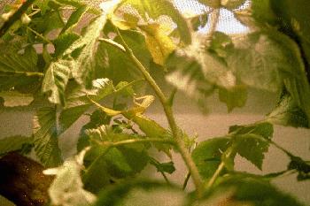 Quiz : wo bin ich ??