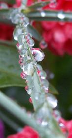 meer:wind: Regentropfen 2