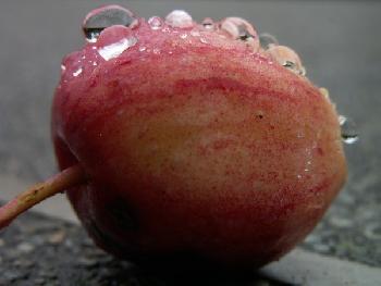 meer:wind: Regentropfen 3