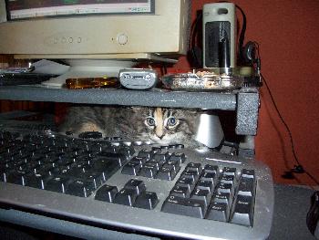 Guten Tag ich bin der Mousefnger*fg