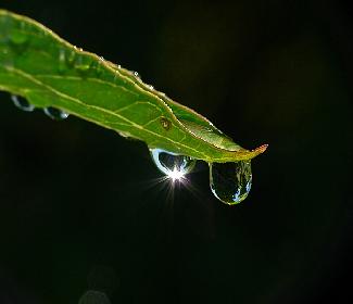 Wassertropfen in der Sonne