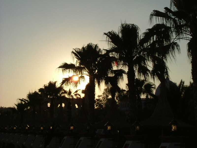 Sonnenuntergang durch Palmen ...  Trkei | 2006