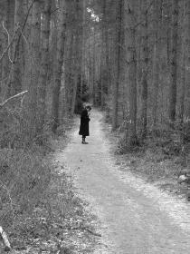 Winterliche Einsamkeit