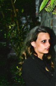 Nachts bei den Fliederbeeren