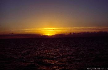 Der weite Ozean 1