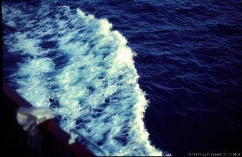 Die Welle