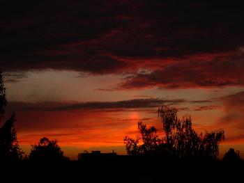 HarryElch: aus dem fenster