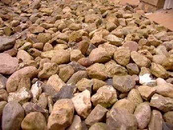 Welcher ist der Richtige? (Gallenstein)