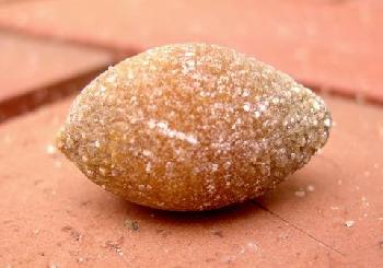 Da ist, mein Gallenstein!