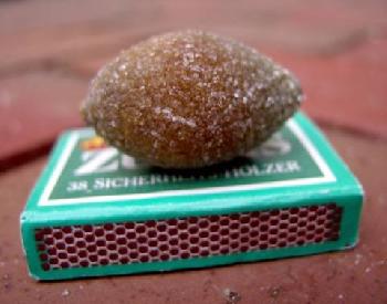 Zum Vergleich  (Gallenstein)