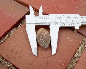 und hier die Ma�e 2  (Gallenstein)