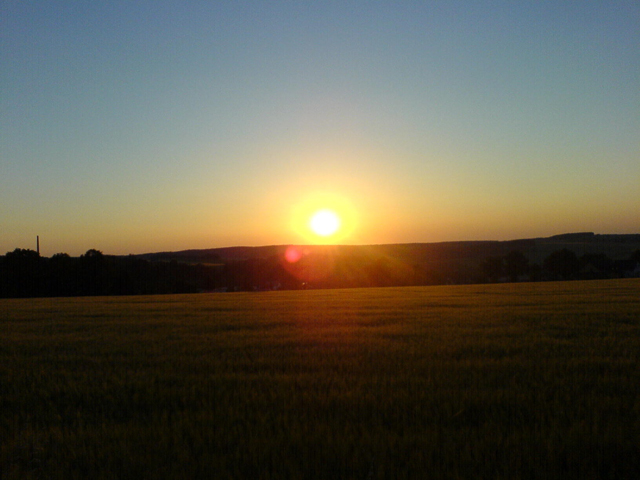 Feld und Sonnenuntergang mit das schnste Foto *find*