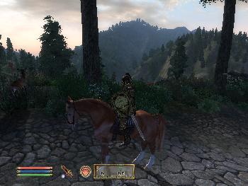 Unterwegs in Cyrodiil (1024x768)