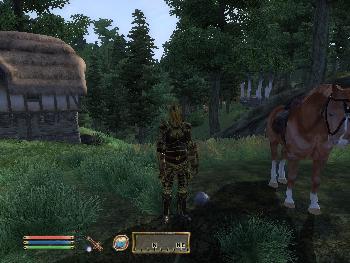 Erholungsurlaub bei Freunden in dichten W�ldern von Cyrodiil (1024x768)