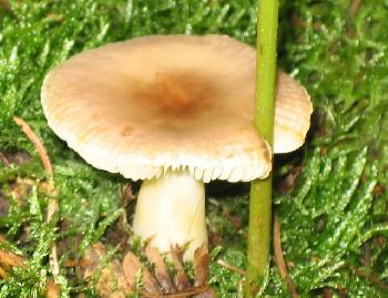 Wenn kein Platz da ist