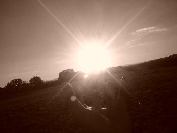 Griff in die Schatzkammer des Firmaments