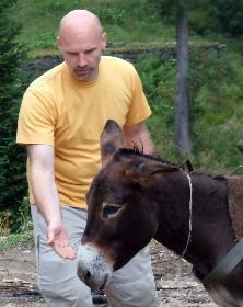 Zwei Esel treffen sich