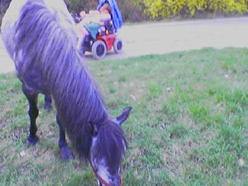 Feli mit Legzajnitza ( New Heaven)