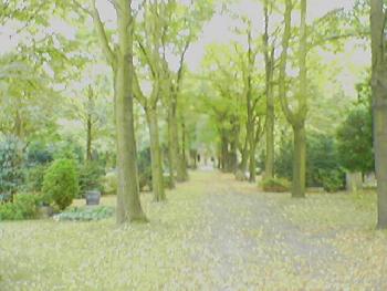 Mit Mausi spazieren 3