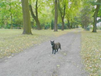 Mit Mausi spazieren 4