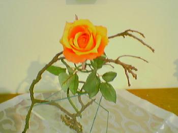 Altarblume Im Gemeindesaal, wo die Freizeitgruppe der geistig Behinderten ist