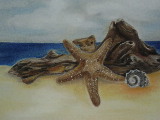 Strandgut