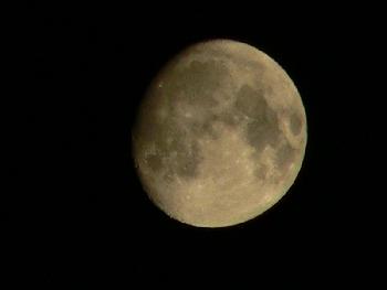 Mond