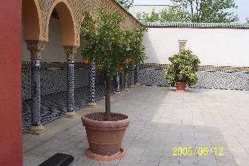 Berlin-Marzahn - Orientalischer Garten - Wandelgang, Hof, Orangenbumchen
