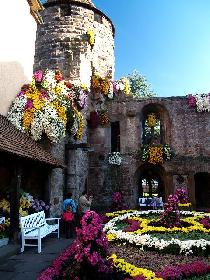 Storchenturm in Lahr, die einzige Stadt die im Nov. eine Freilandblumenschau veranstaltet